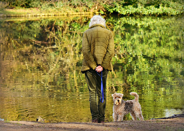 pets help reduce cognitive decline elderly