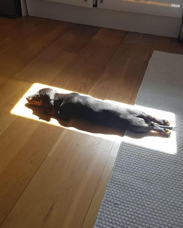 0jk0g-perfect-spot-to-snooze.jpg