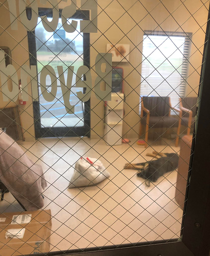 homeless teen reunited with dog Mississippi