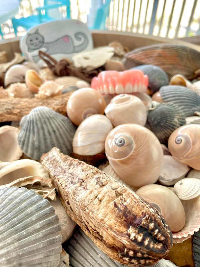 man finds dentures snorkeling gulf shores