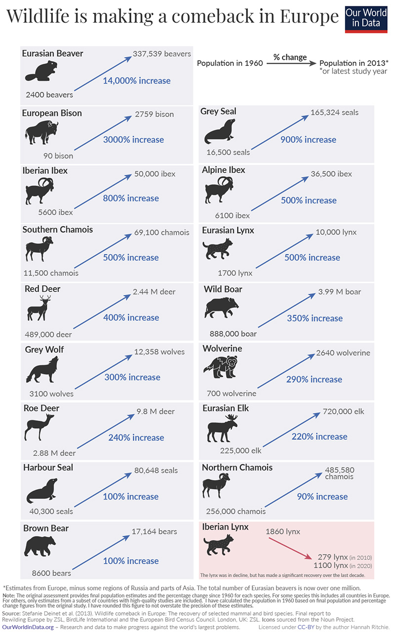 mammals recover Europe