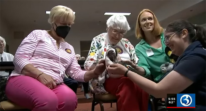 woman holds penguin dream