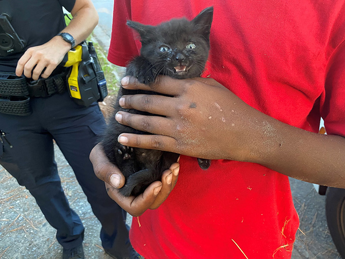 police officers help kids rescue kitten