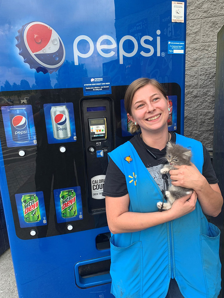 kitten rescue vending machine