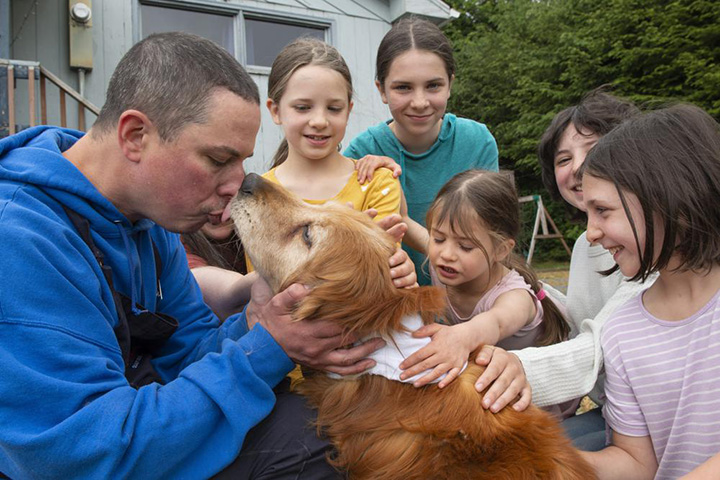 missing dog blind found