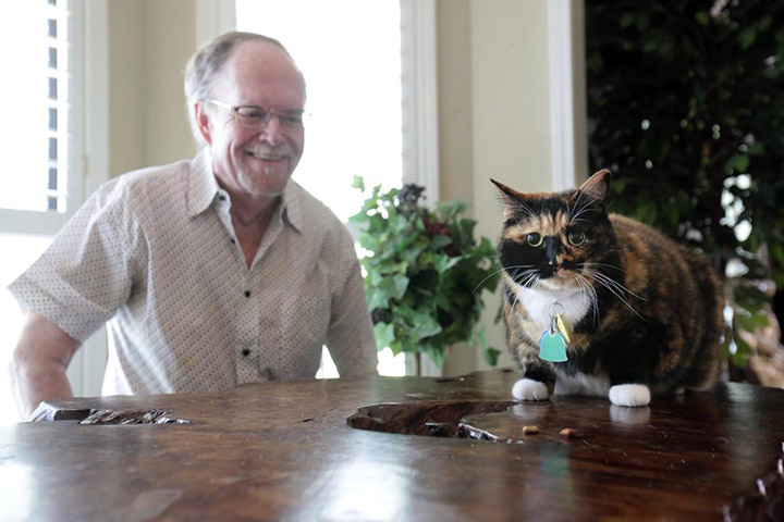 guard cat prevents armed robbery