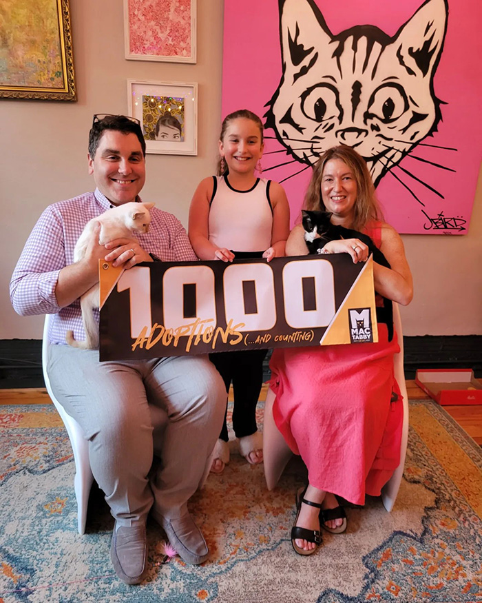 1000 cats adopted cat cafe