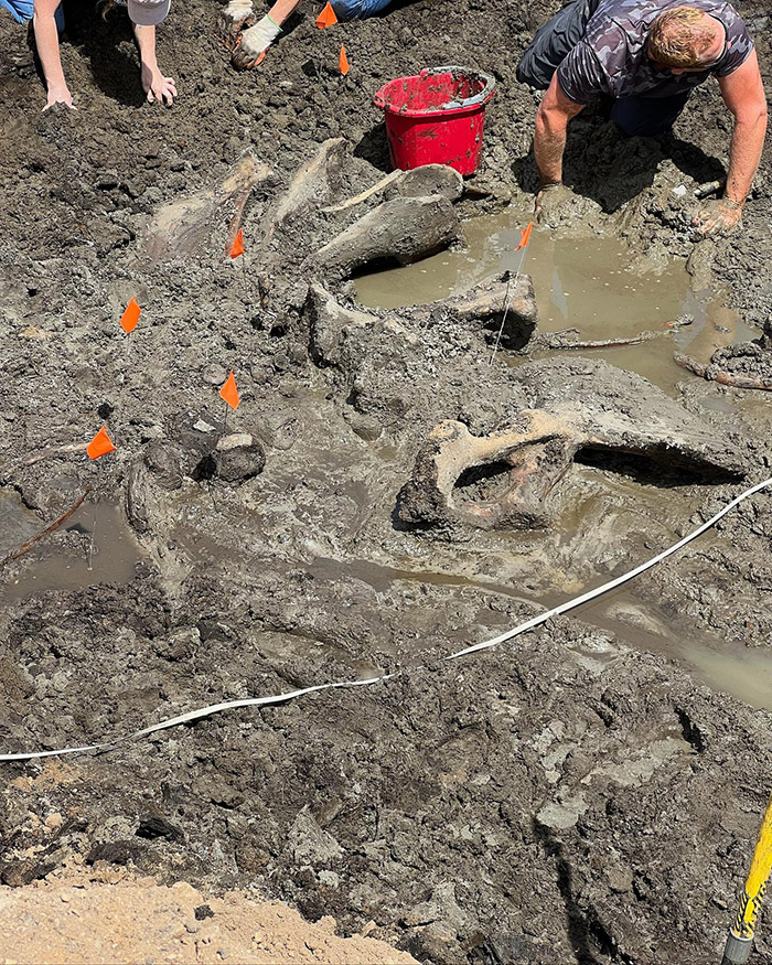 Mastodon found in Michigan