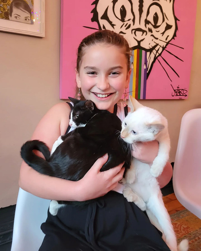 1000 cats adopted cat cafe