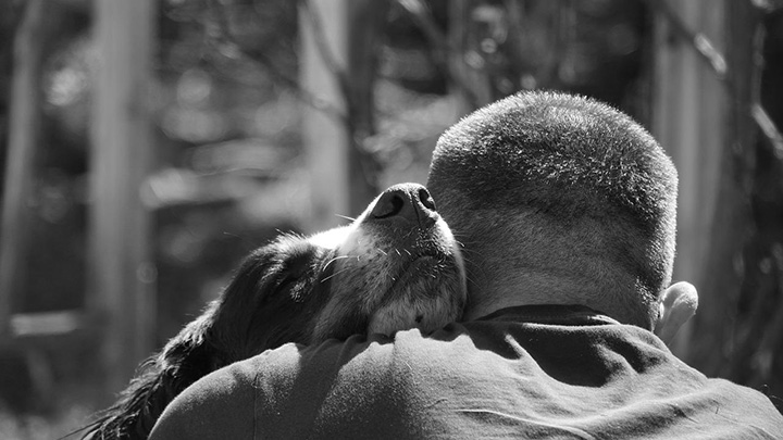 dogs shed tears when they are happy