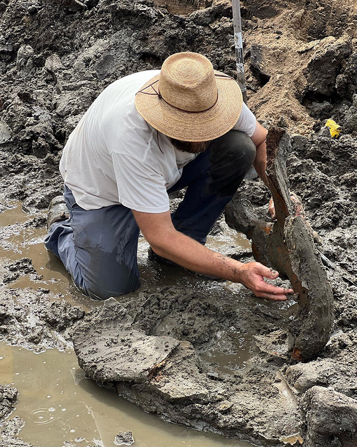 Mastodon found in Michigan