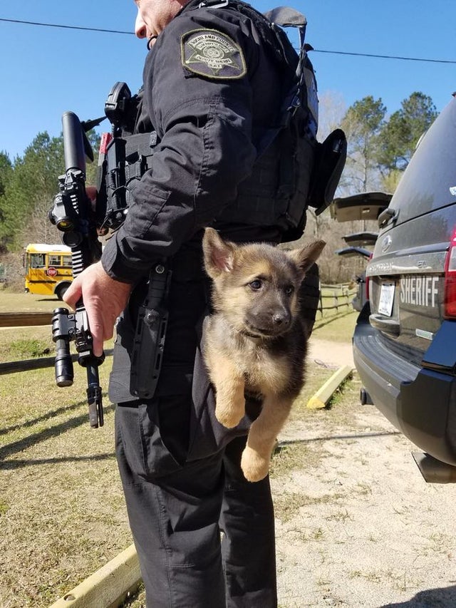 cop and puppy