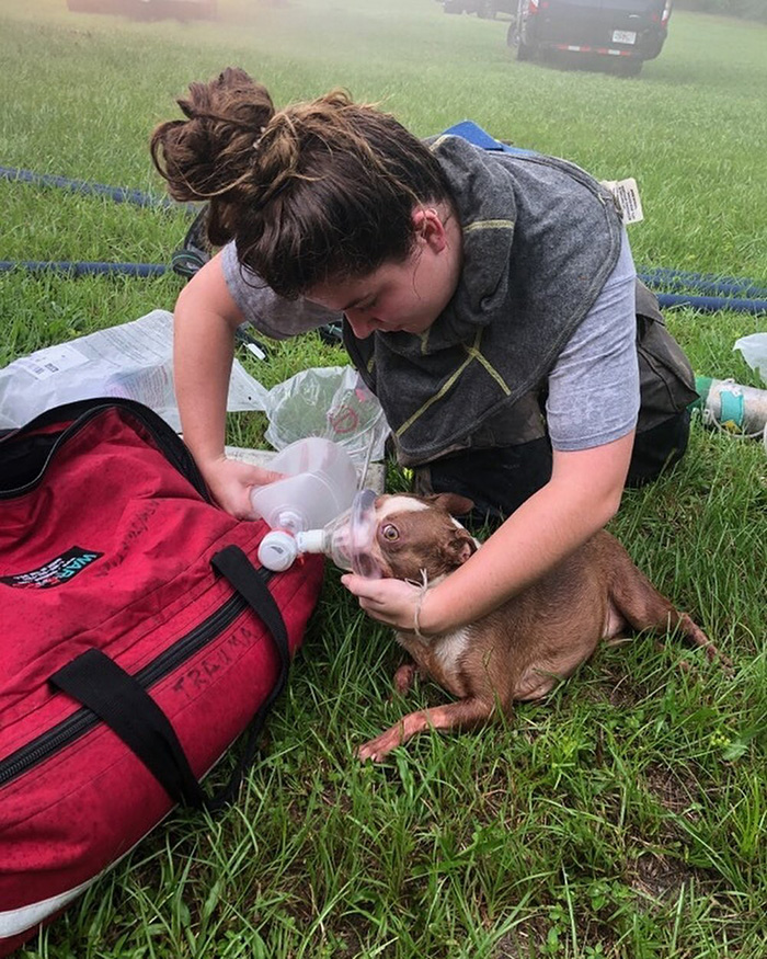 woman saves puppies from fire