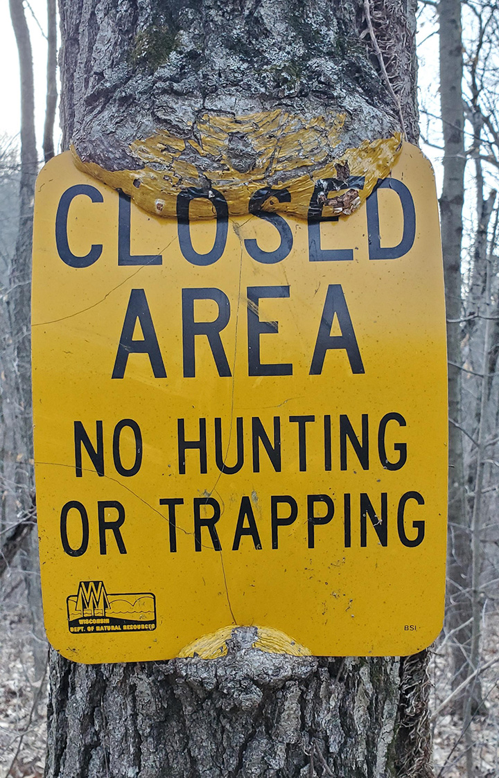 trail sign on tree Wisonsin paint