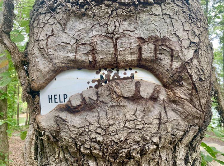 tree eating a sign