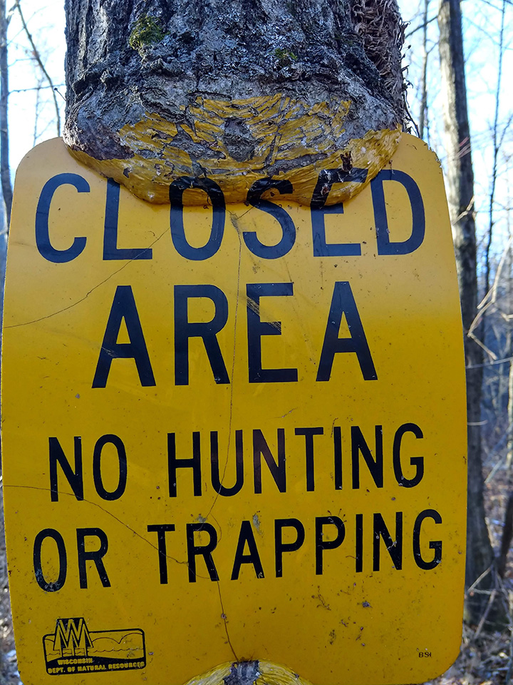 trail sign on tree Wisonsin paint