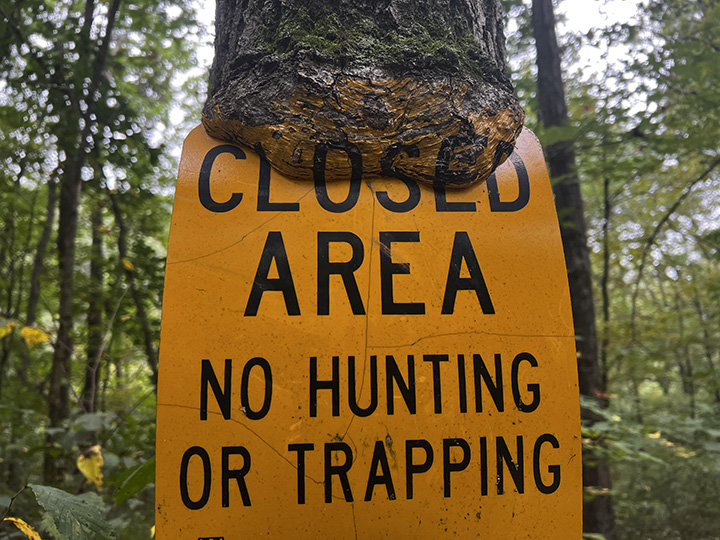 trail sign on tree Wisonsin paint