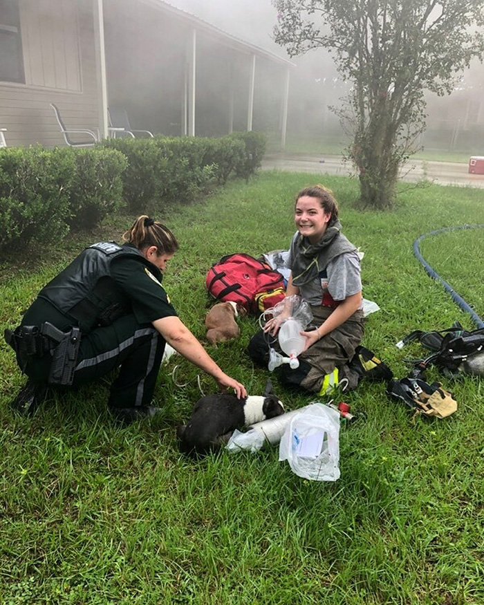 woman saves puppies from fire