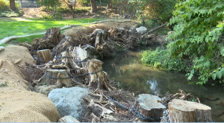 restaurant owner restores stream