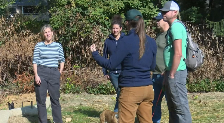 restaurant owner restores stream