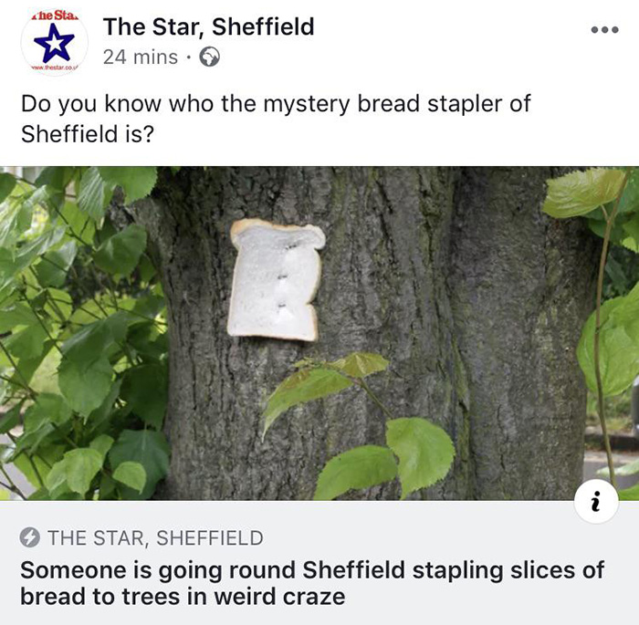 bread stapled to trees