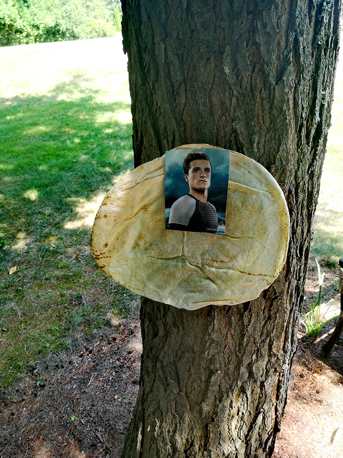 bread stapled to trees