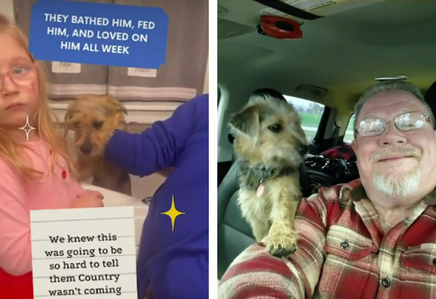 grandpa drives stray dog to grandkids