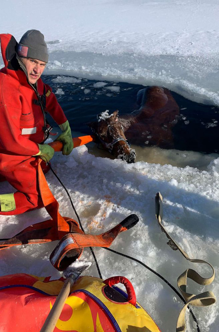 horse rescue icy water