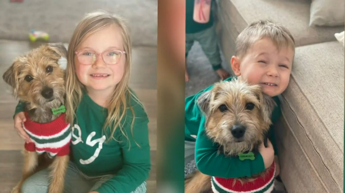 grandpa drives stray dog to grandkids