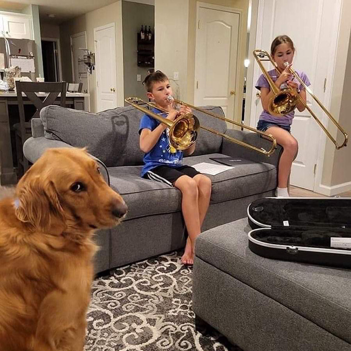 dog trombone kids