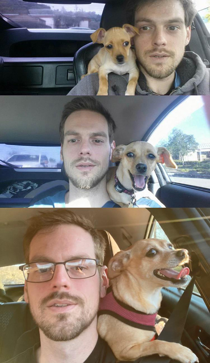 6 months to years dog