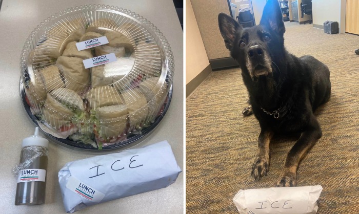 police dog funny story