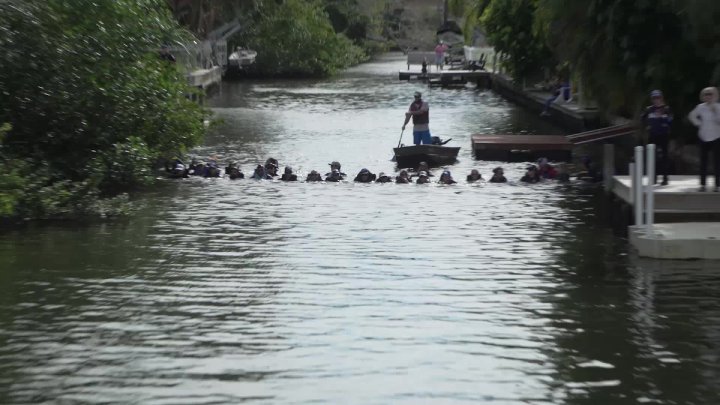 28 People Form Human Chain To Rescue Dolphin From Creek