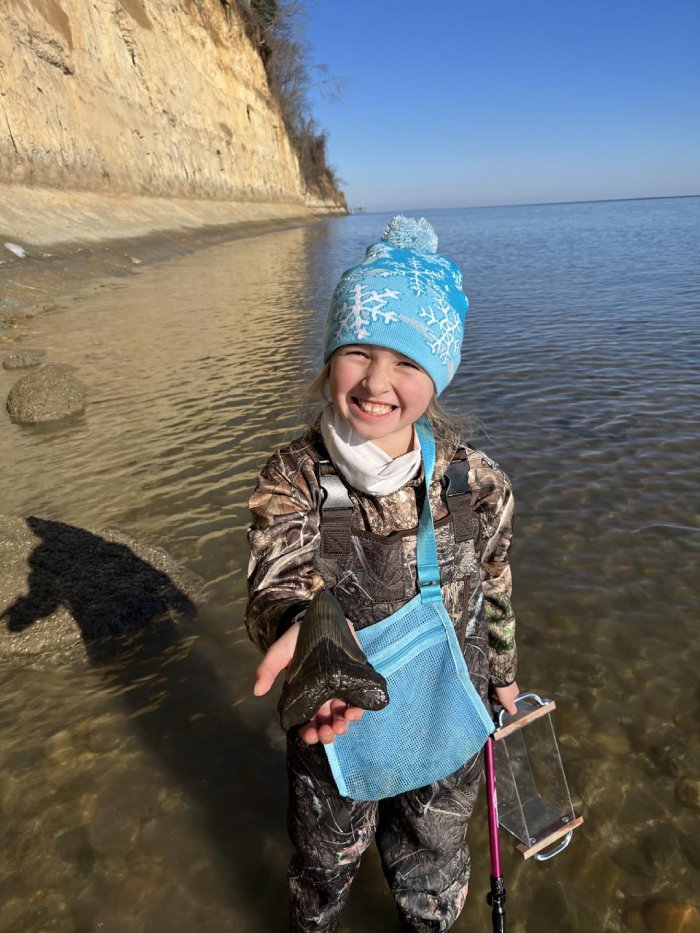 girl finds megalodon tooth maryland