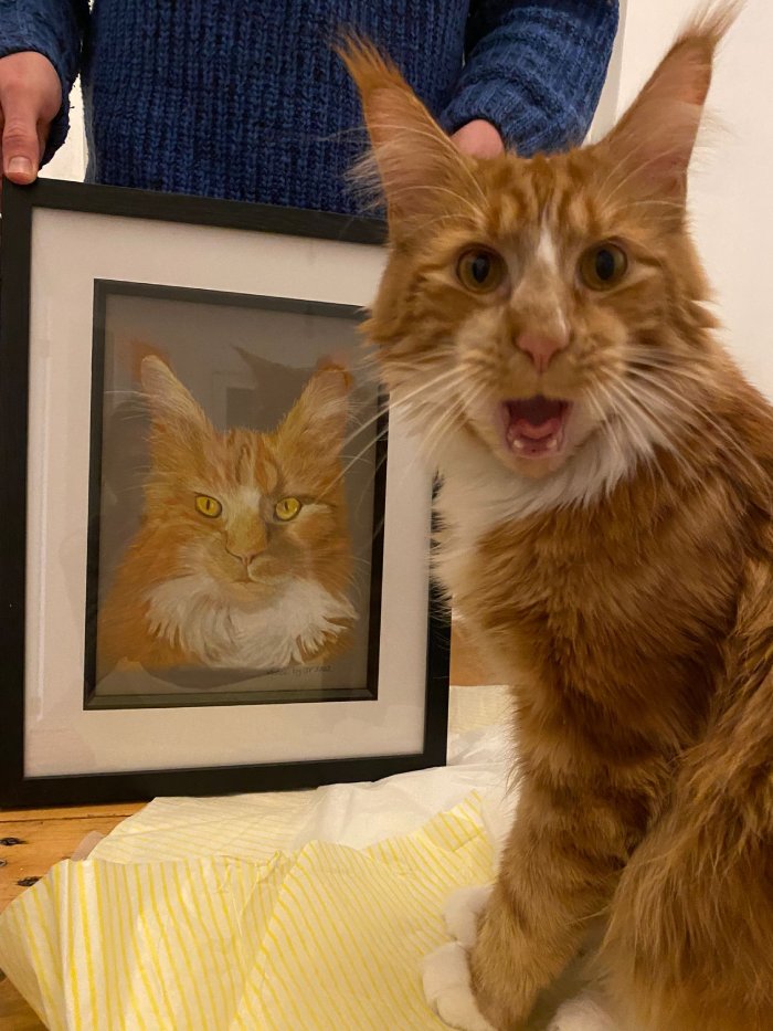 cat painting