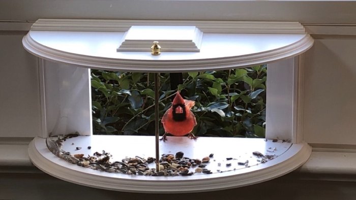 in house bird feeder 180 degrees
