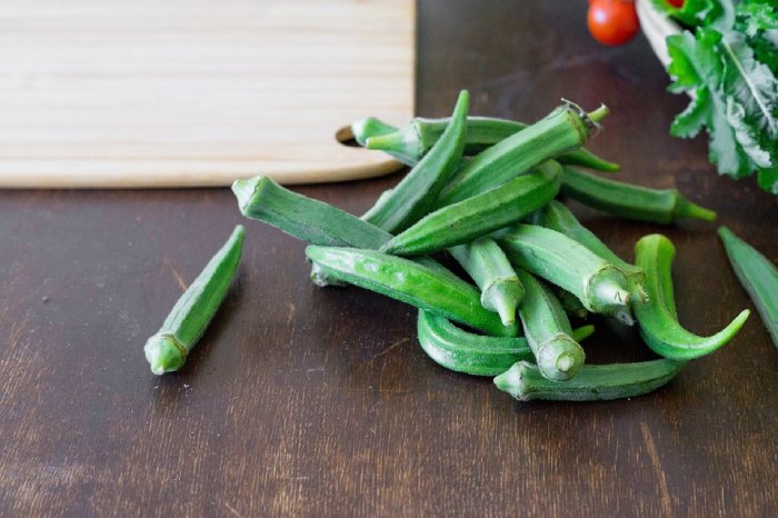 okra remove microplastics from ocean