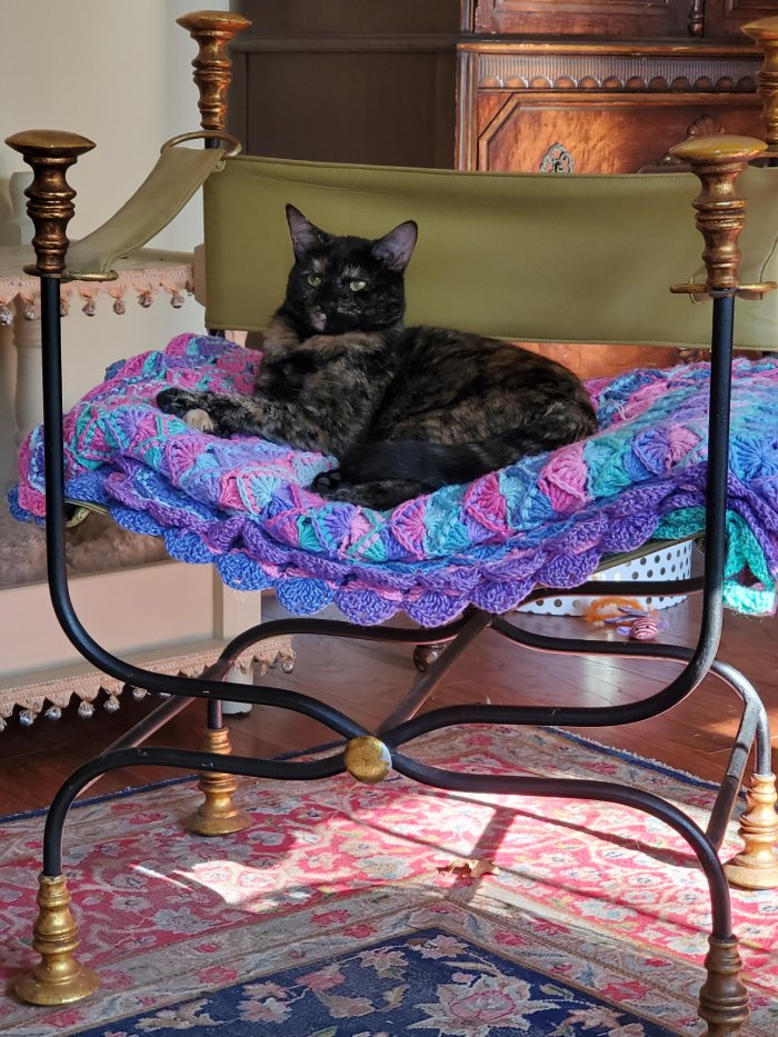 kitty throne