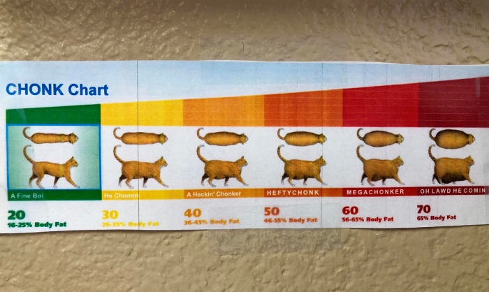 chonk chart