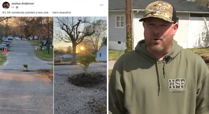 man plants tree in pot hole