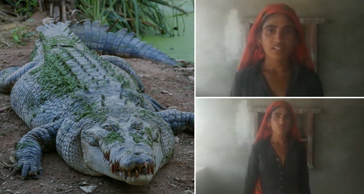 woman saves husband from crocodile attack