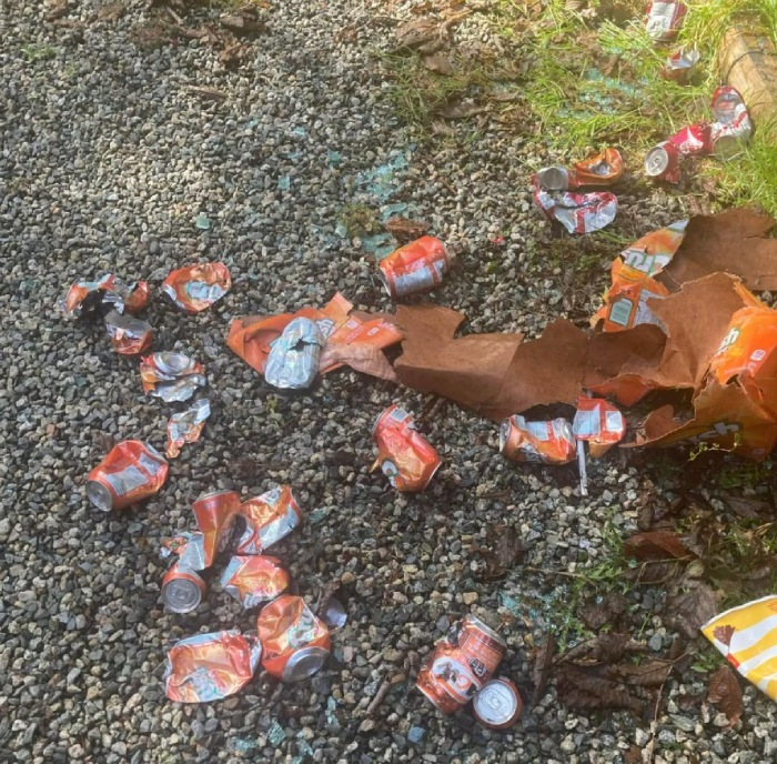 bear drinks sodas in car