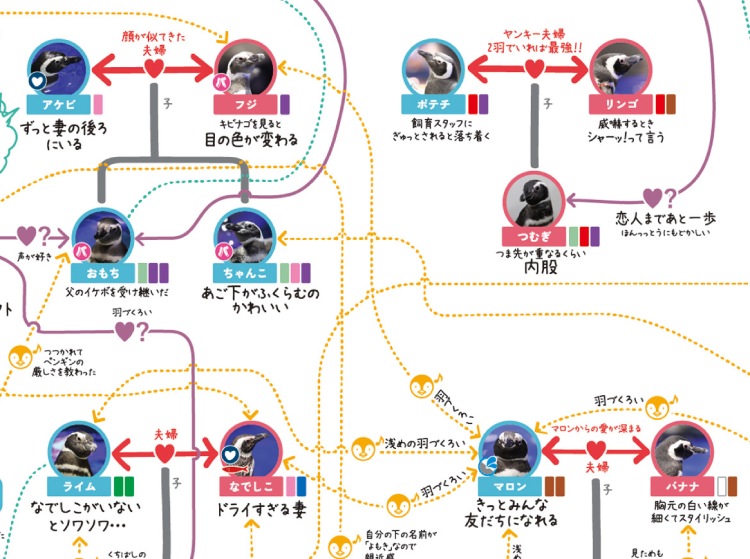 penguin love chart