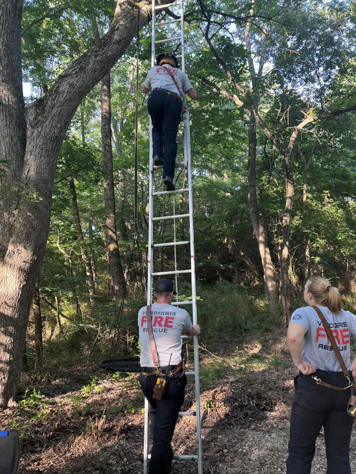 firefighters tree swing