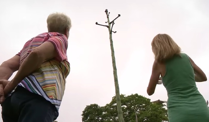 cactus grows 25 feet overnight after decades