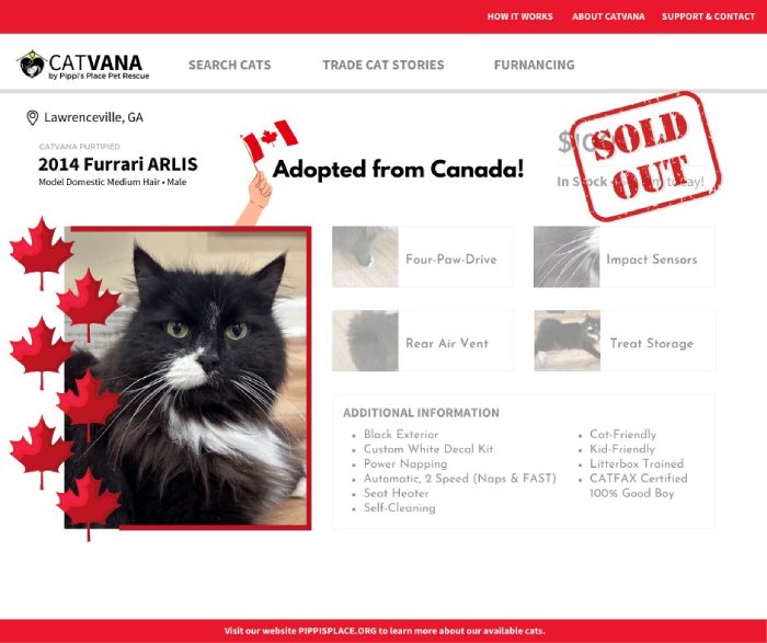 catvana listing