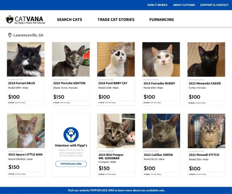 cat shelter used cars