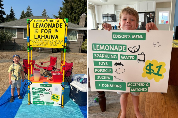 lemonade stand hawaii wildfires