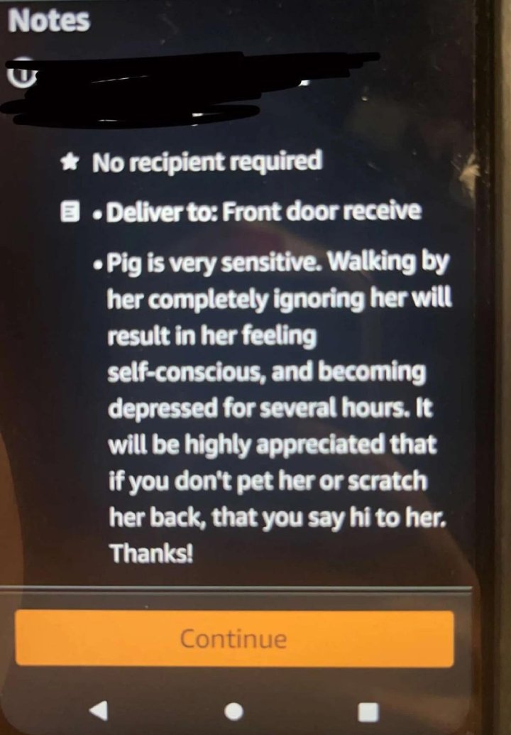 wholesome amazon delivery notes