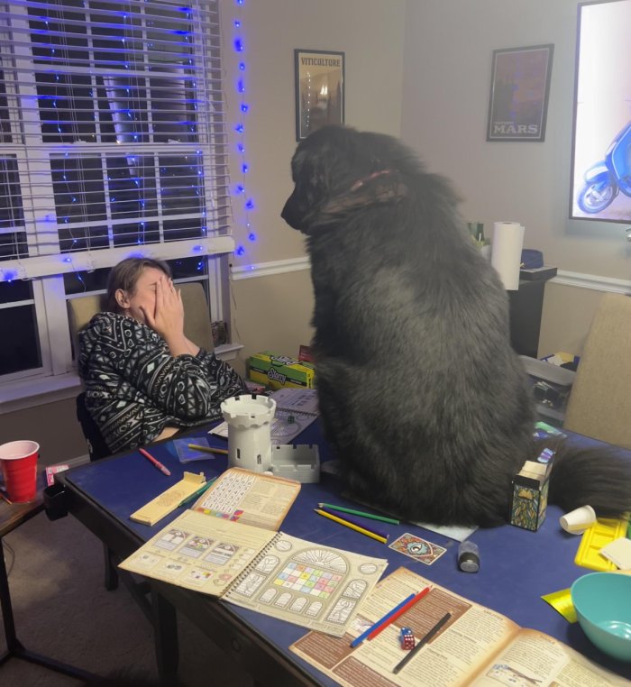 dog on board game